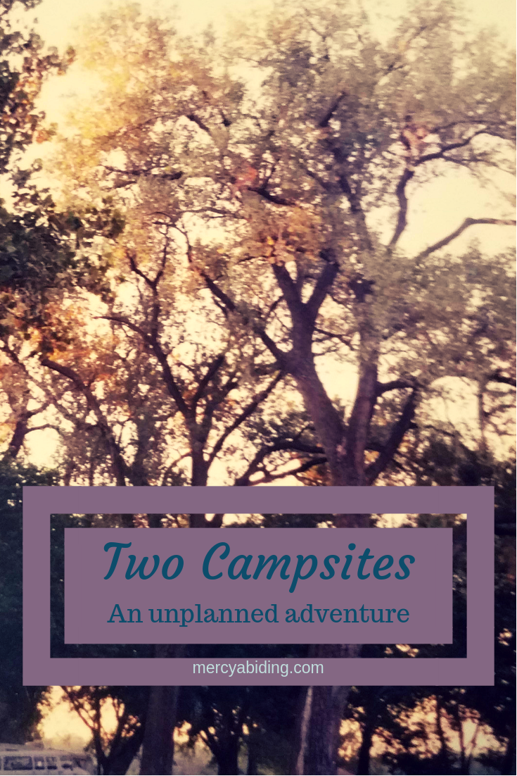 Big trees with text "two campsites, an unplanned adventure"