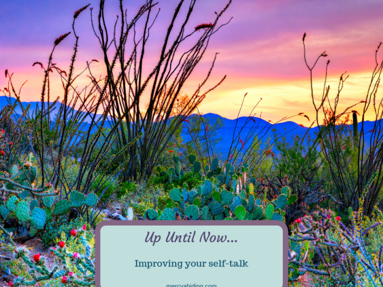 desert with cacti and sunset. Up until now, improving your self-talk